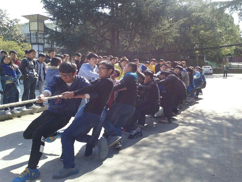 图片20.png 图片20.png